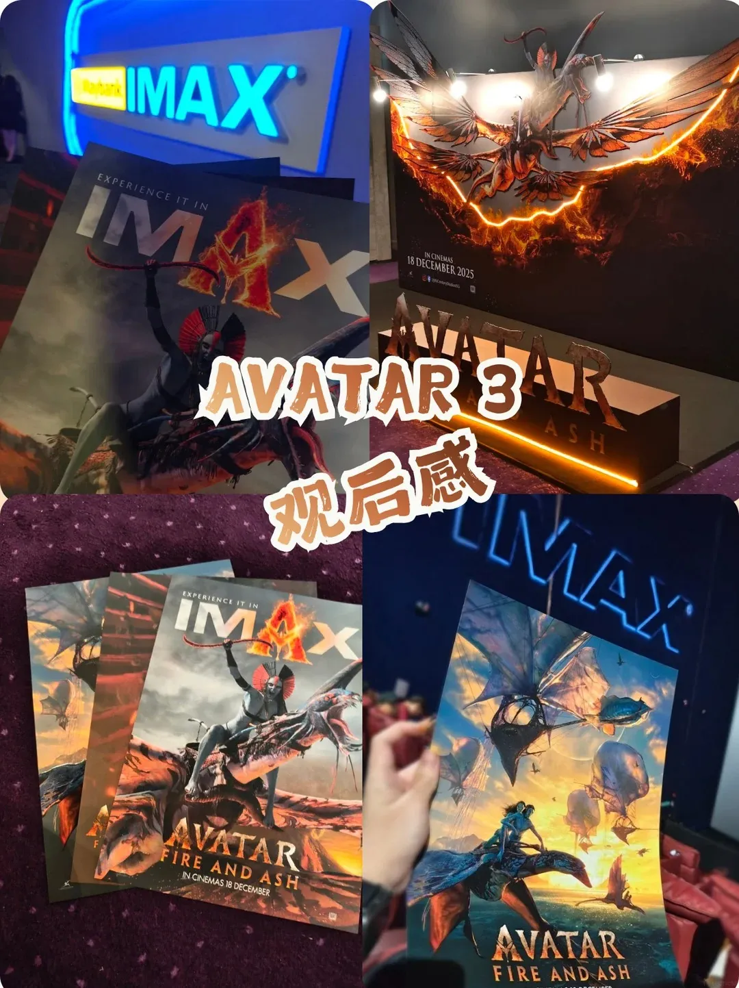 《Avatar: Fire And Ash》阿凡达3小时存活确认 🇲🇾 海报