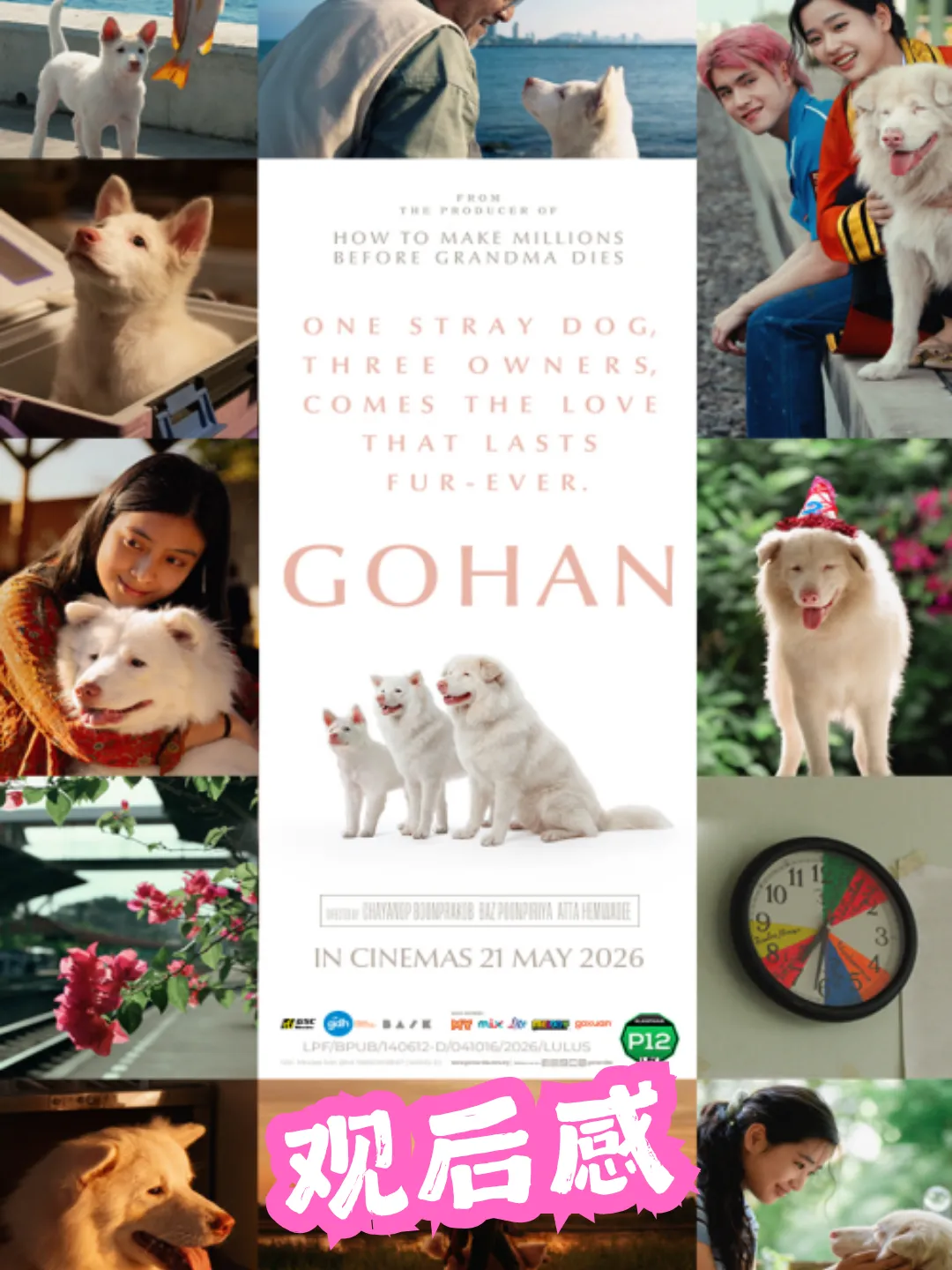 《Gohan》太可爱了🐕已深深被萌翻 海报