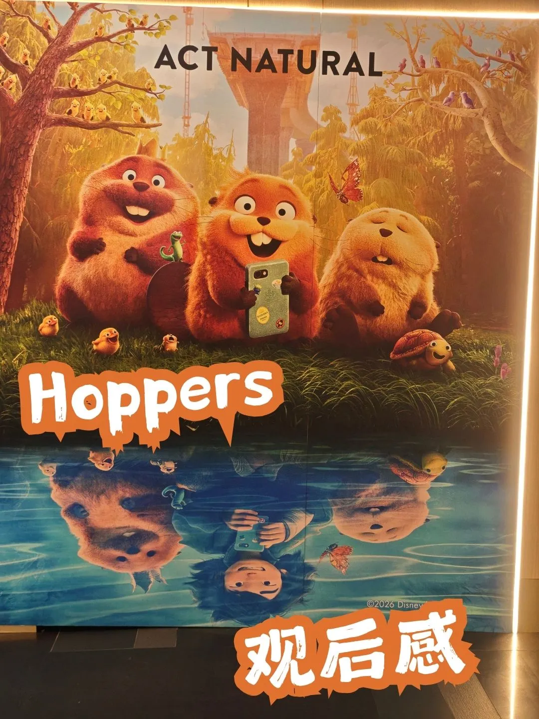 《Hoppers》看到😭这河狸吗 🇲🇾 海报